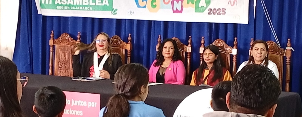 III asamblea, elección del CCONNA, 2026-2027