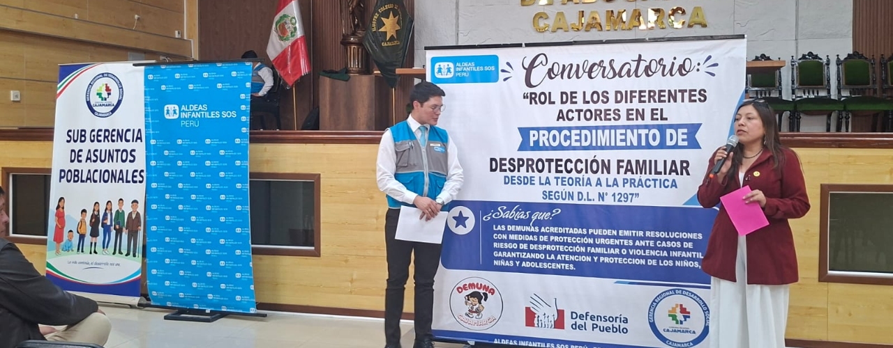Fortalecimiento a DEMUNAS - D.L 1297 - DESPROTECCION FAMILIAR